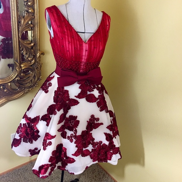 Jing Pin Dresses & Skirts - Maroon Formal dress size small adjustable